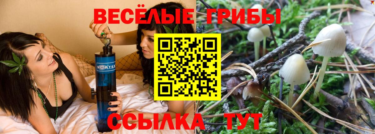 Новый Уренгой  Галлюциногенные грибы MAGIC MUSHROOMS  Вход с VPN  Галлюциногенные грибы Psilocybe 