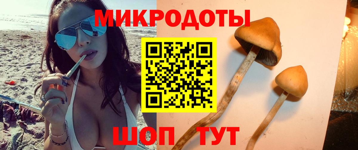 Псилоцибиновые грибы мицелий Новый Уренгой
